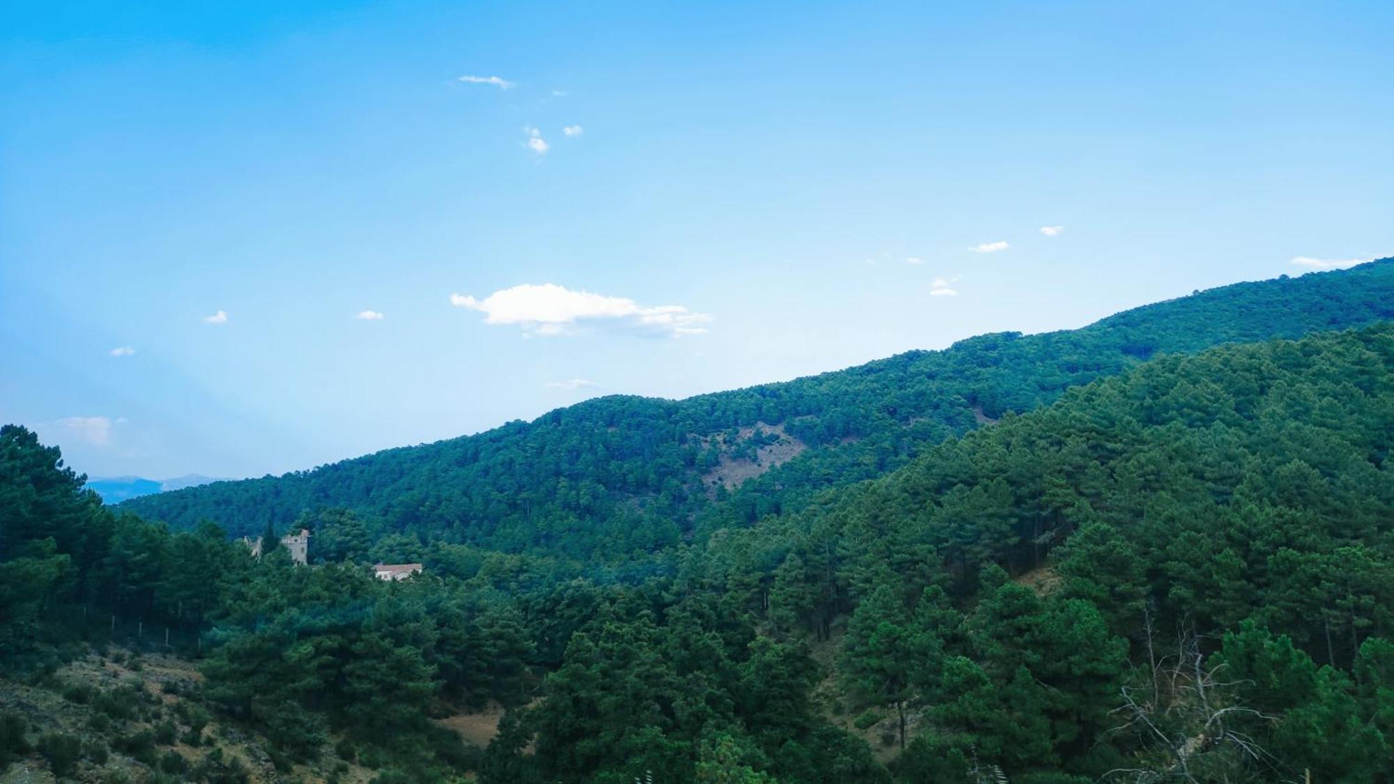 Ruralrut En El Tiemblo Precios Especiales A Partir De 7 Noches, Wifi, Cabina De Hidromasaje, Aire Acondicionado, Zonas De Bano Naturales Cercanas אל טיימבלו מראה חיצוני תמונה