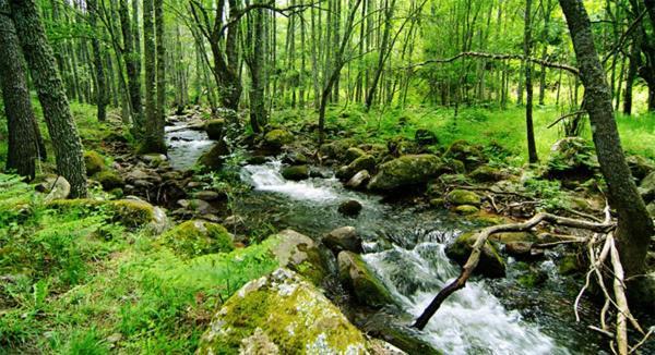 Ruralrut-El Tiemblo Wifi, Cabina De Hidromasaje, Aire Acondicionado Y A Pocos Metros De Zonas De Bano Naturales מראה חיצוני תמונה